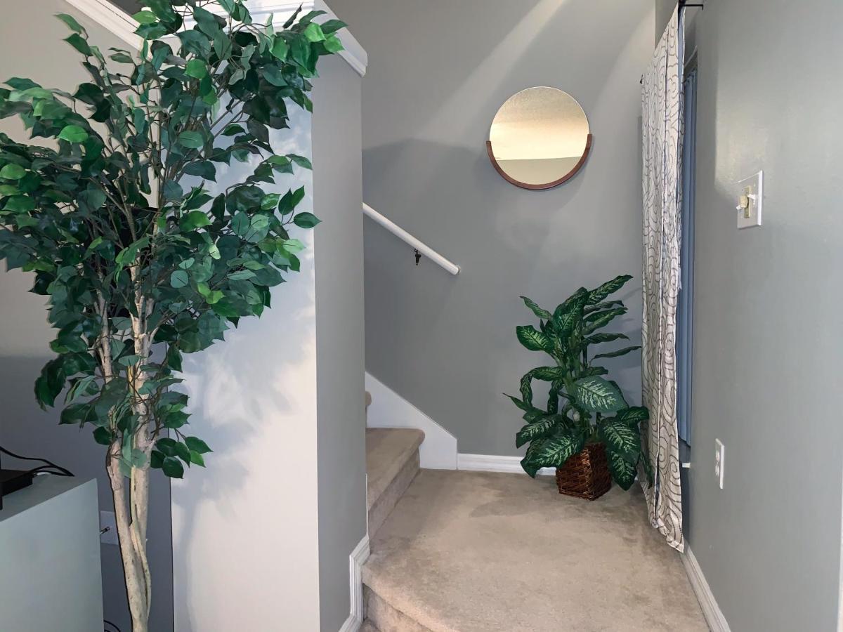 Terra Verde Vacation Rentals Kissimmee Zewnętrze zdjęcie